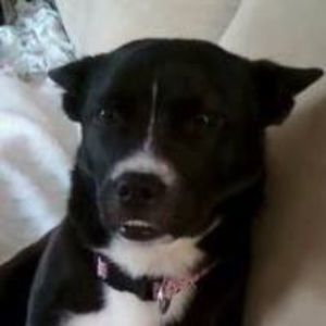 Meet your Posher, Kari